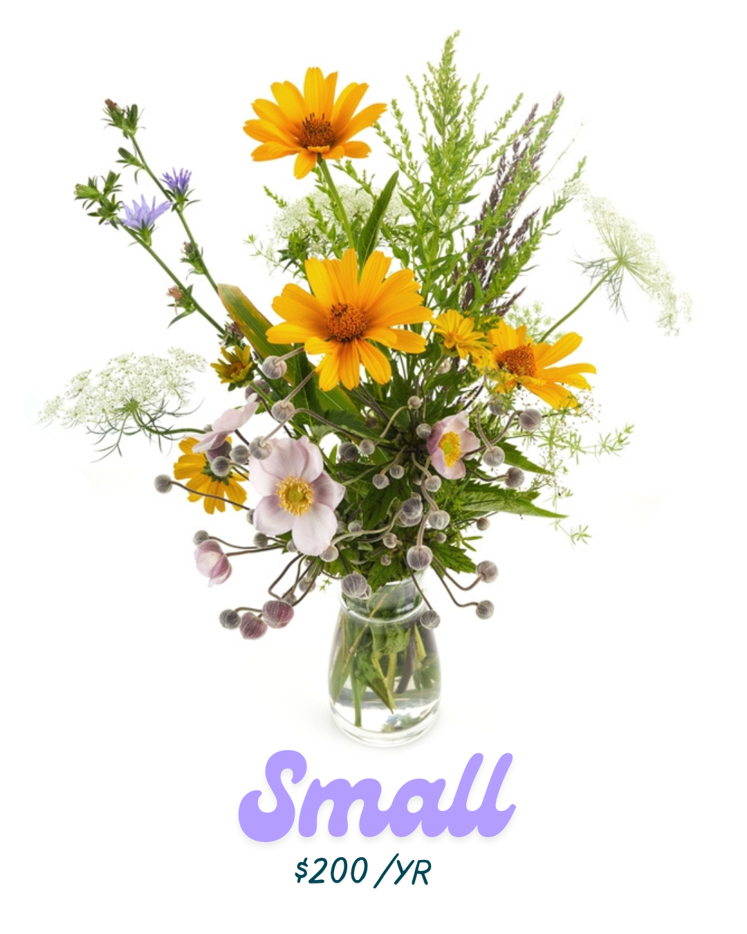 Ootsie's Flower of the Month Club
