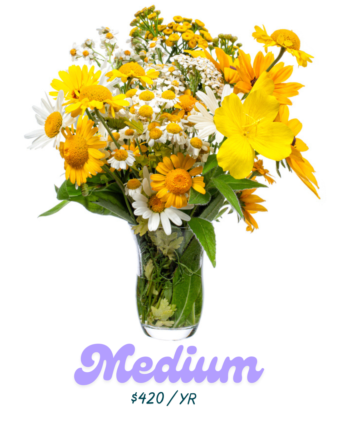 Ootsie's Flower of the Month Club